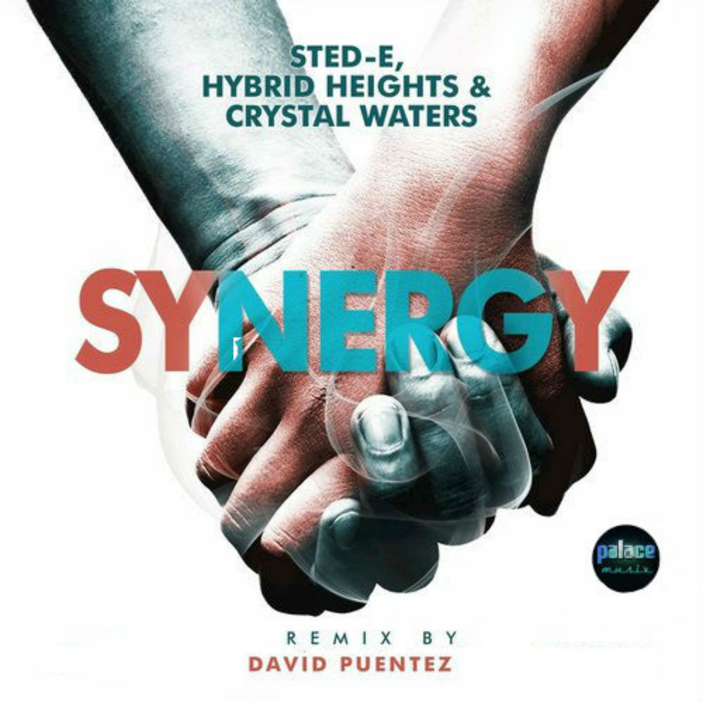 Synergy (David Puentez Remix)